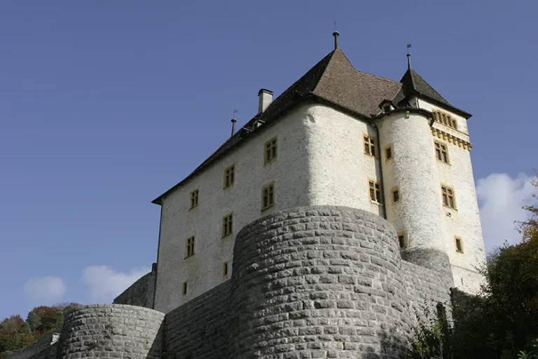 aprotec-projets-monuments-historiques-chateau-de-valangin